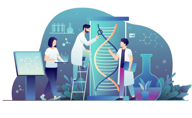 علوم انسانی